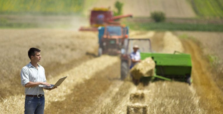 Employer branding en la agricultura