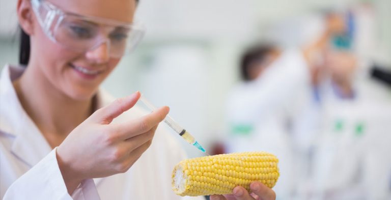 Promover la innovación en la industria de los alimentos