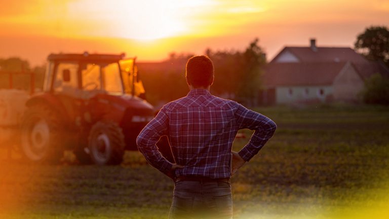 La importancia del sector agro durante la crisis COVID-19