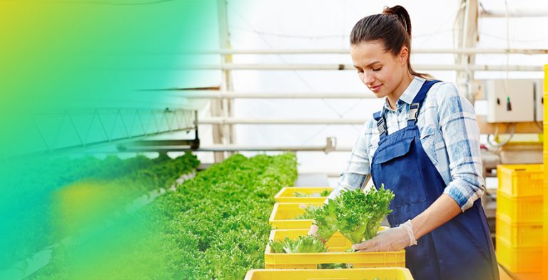 claves para entender la agricultura del futuro.