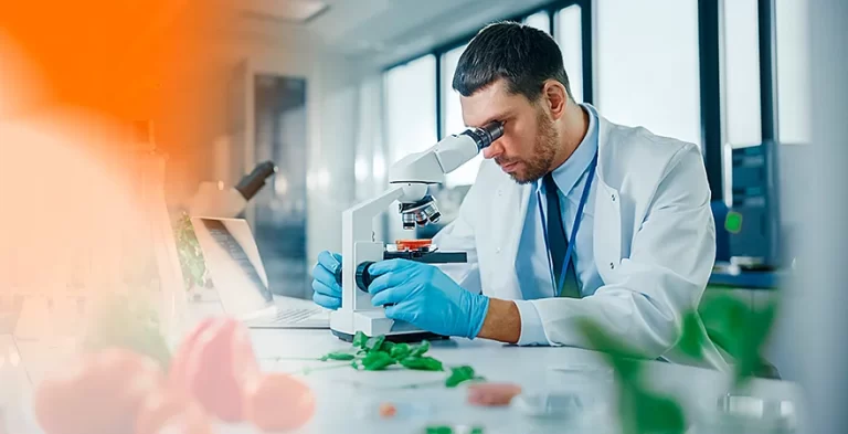 la industria de alimentación, referente en empleo.