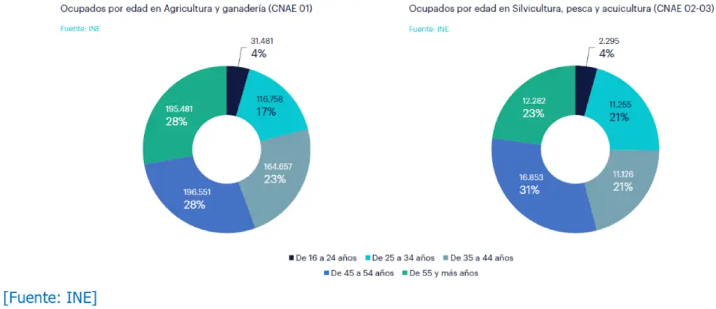Este gráfico ilustra la distribución del empleo en agricultura, ganadería y pesca por grupos de edad. Presenta que más de la mitad de los trabajadores tienen 45 años o más, y los mayores de 55 años ya representan el 27,7% del total. Los jóvenes de 16 a 24 años apenas suponen un 4,5% del empleo.