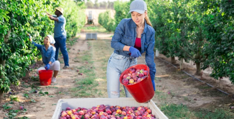 empleo agro: auge extranjero y femenino ante el reto generacional.