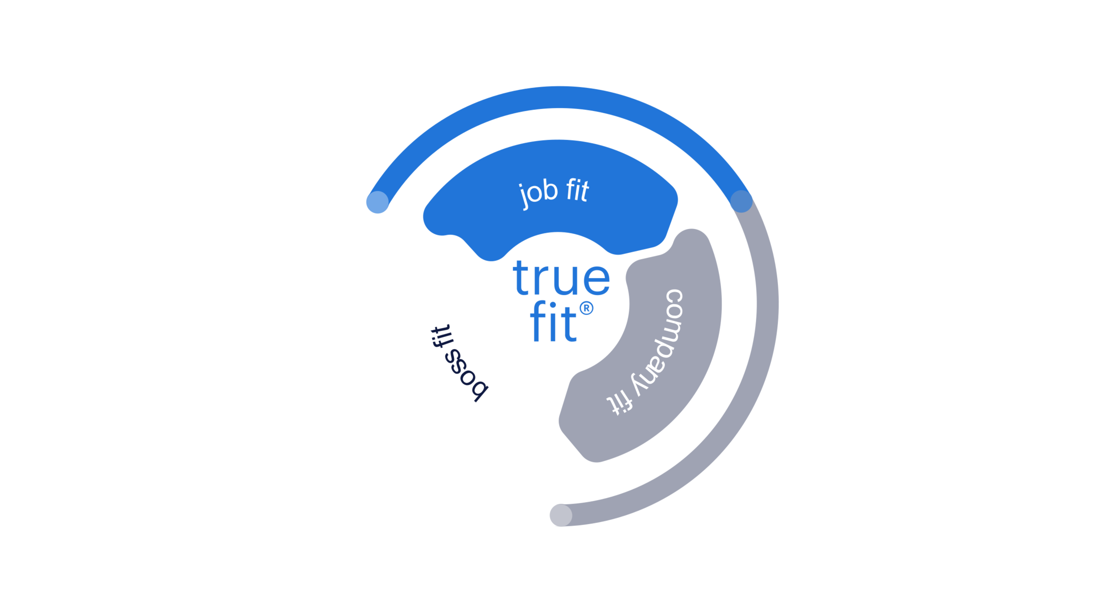 Gráfico circular de "True Fit" que divide la adecuación laboral en tres pilares: Job Fit (puesto), Boss Fit (jefe) y Company Fit (empresa). El diseño resalta visualmente la importancia del ajuste con el puesto de trabajo.